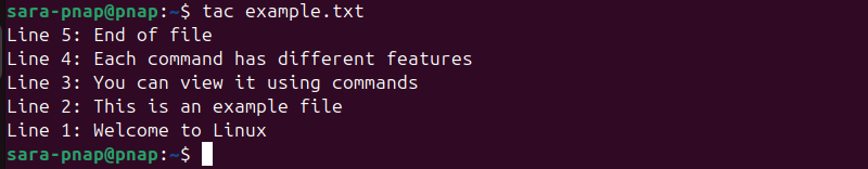 tac example.txt terminal output