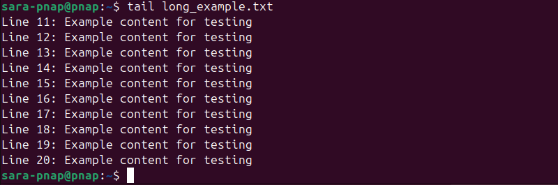 tail long_example.txt terminal output