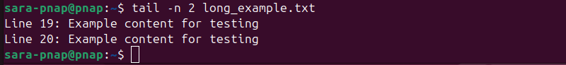 tail -n 2 long_example.txt terminal output