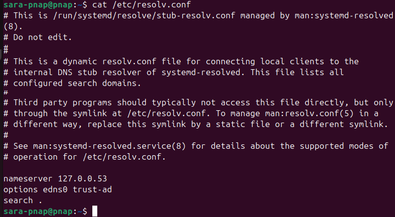 cat /etc/resolv.conf terminal output
