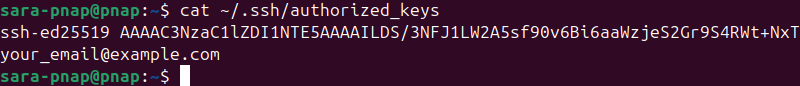 cat terminal output