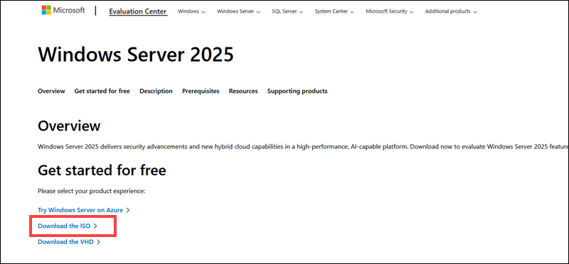 Download Windows Server 2025 ISO.