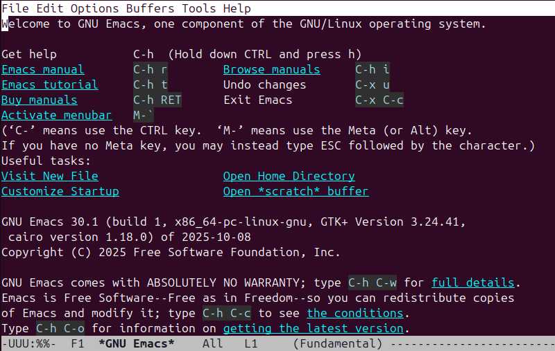 emacs -nw terminal output