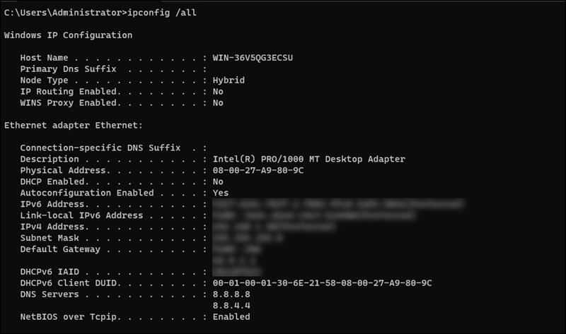 ipconfig command in Windows Server.