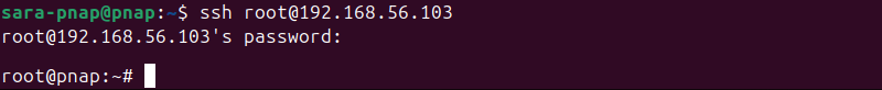 Log in as root enabled terminal output