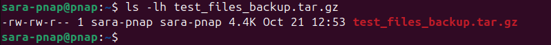 ls -lh test_files_backup.tar.gz terminal output