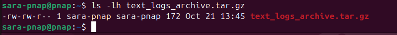 ls -lh text_logs_archive.tar.gz terminal output