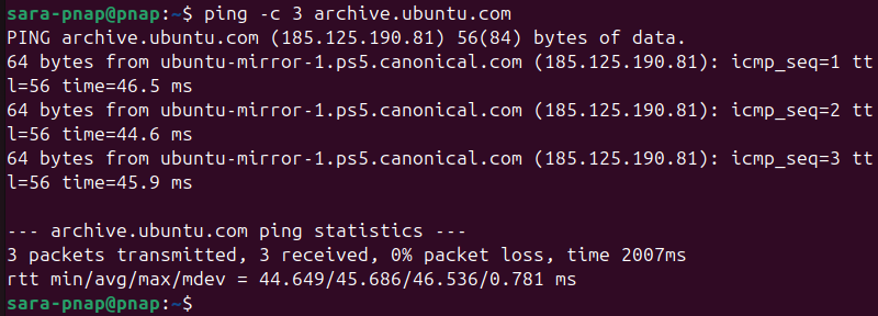 ping terminal output