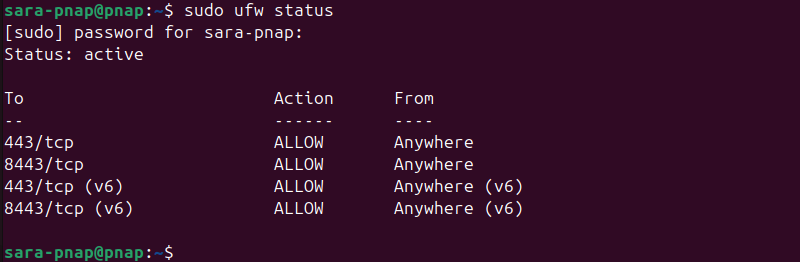 sudo ufw status with port 22 missing terminal output