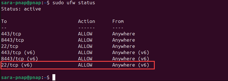 sudo ufw status terminal output