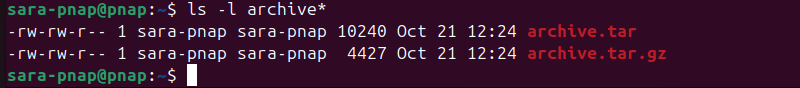 terminal output for ls -l archive*