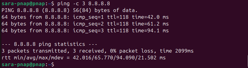 terminal output for ping