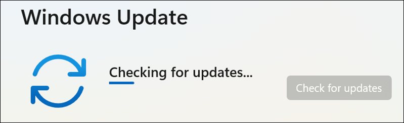 checking for updates