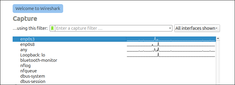 Select the network interface you want to capture from
