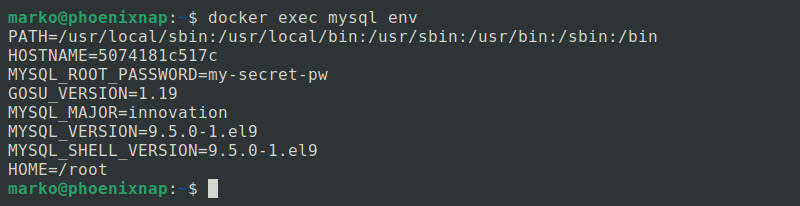 Executing the env command within a mysql container.