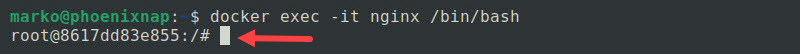 Starting a Bash shell session in a Nginx container.