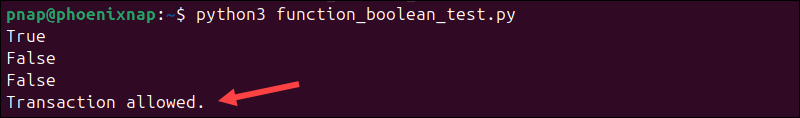 Testing Booleans within functions in Python.