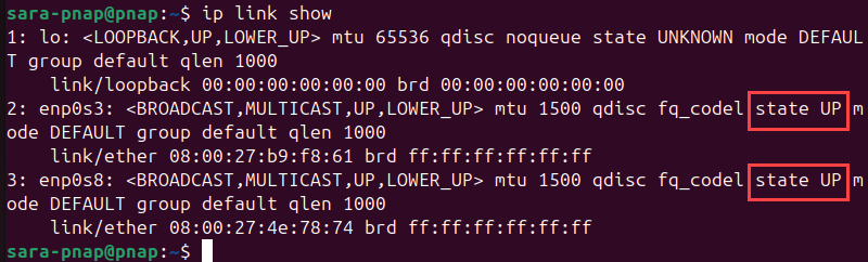 ip link show terminal output