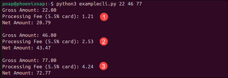 Using nargs parameter in argparse.