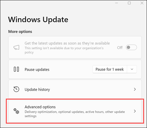 Select advanced options