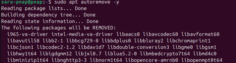 sudo apt autoremove -y terminal output