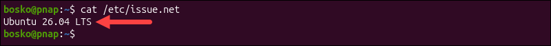 cat /etc/issue.net terminal output