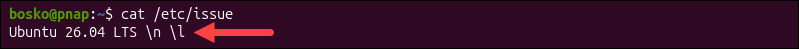 cat /etc/issue terminal output