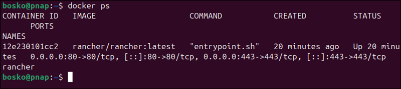 Checking running Docker containers.
