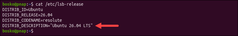 cat /etc/lsb-release terminal output