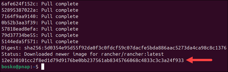 Installing Rancher using Docker.