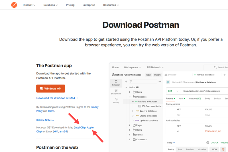 Downloading Postman for macOS.