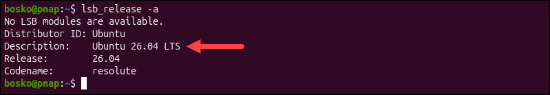 terminal output for lsb_release -a