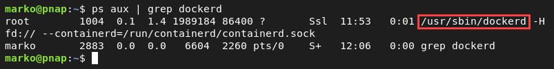 dockerd in the output of the ps aux command.