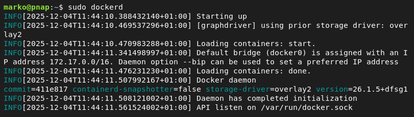The daemon working in the foreground.