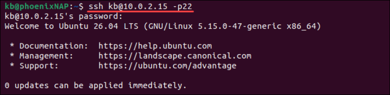 ssh port 22 local terminal output