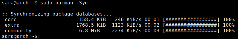 sudo pacman -Syu terminal output