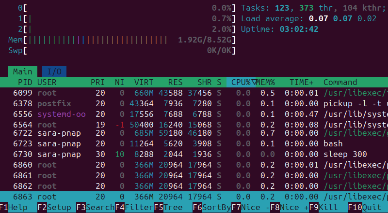 htop terminal output