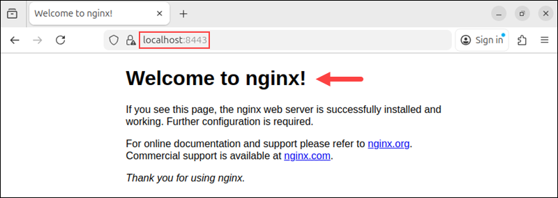 Verify Nginx port 8443 configuration.