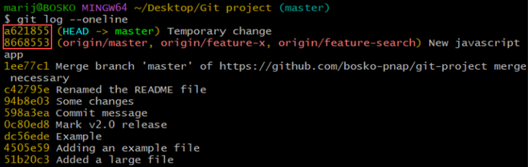 Git checkout Command Explained