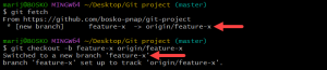 Git checkout Command Explained
