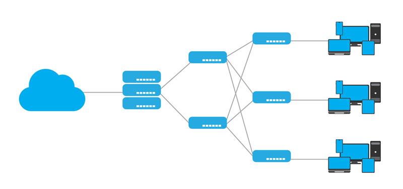 Local area network client-server model.