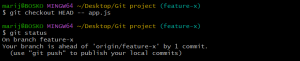 Git checkout Command Explained