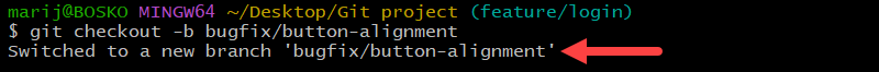 Switching to a new branch with git checkout.