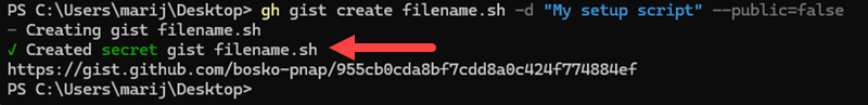 Create a secret gist using the CLI.