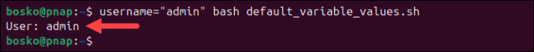 Bash: Troubleshooting Unbound Variables | phoenixNAP KB