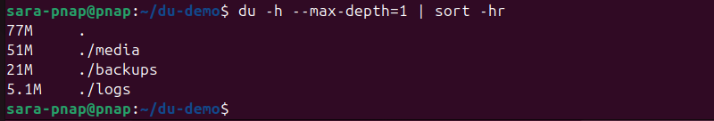 du -h --max-depth=1 | sort -hr terminal output