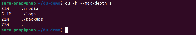 du -h --max-depth=1 terminal output