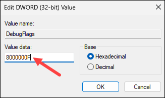 Editing a DWORD 32-bit value.
