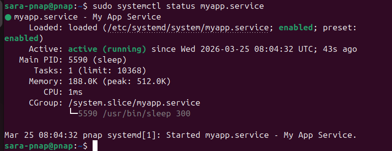 sudo systemctl status myapp.service terminal output