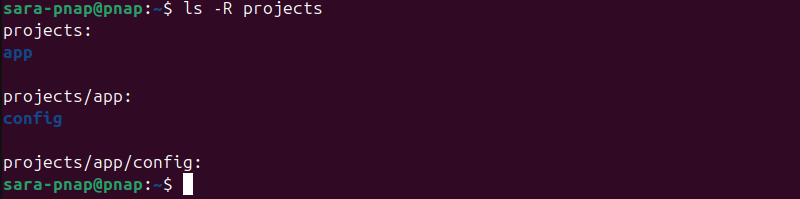 Terminal output for ls -R projects